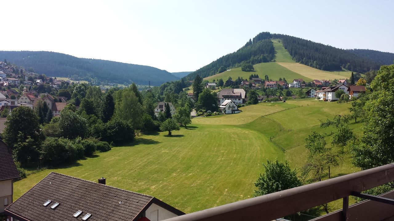 Panoramahotel Berghof Baiersbronn Luaran gambar